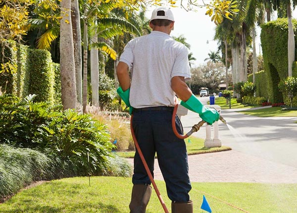 About Elverson PA Pest Control Pros